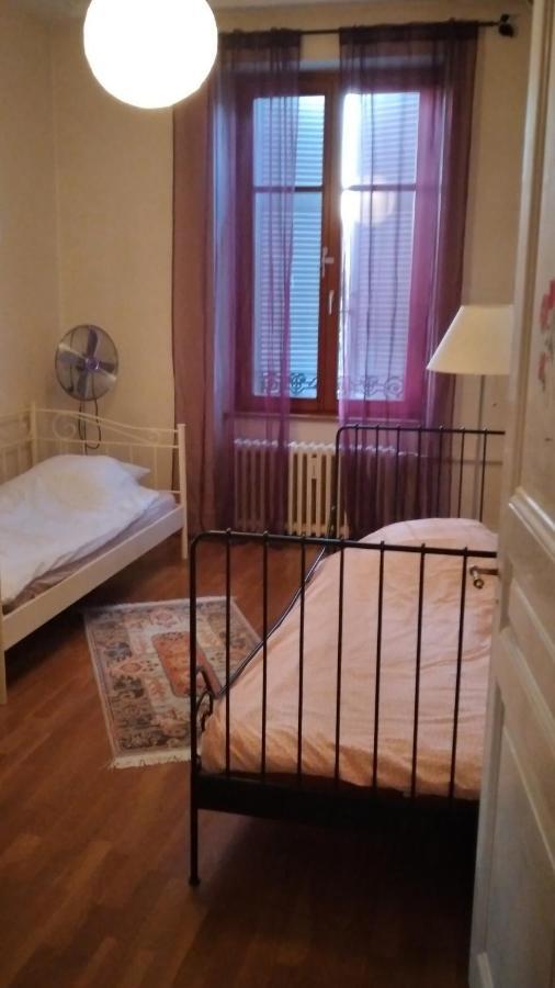 Le Grand Charpentier Apartment Mulhouse Luaran gambar