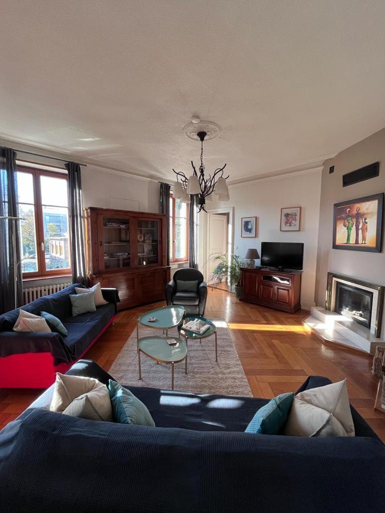 Le Grand Charpentier Apartment Mulhouse Luaran gambar