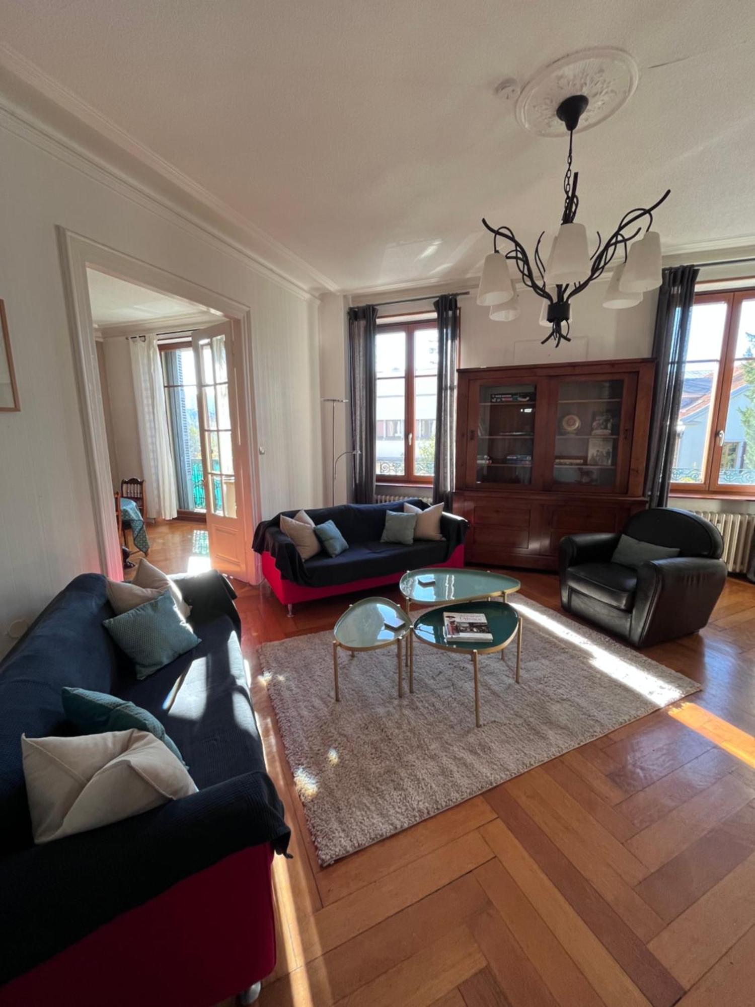 Le Grand Charpentier Apartment Mulhouse Luaran gambar