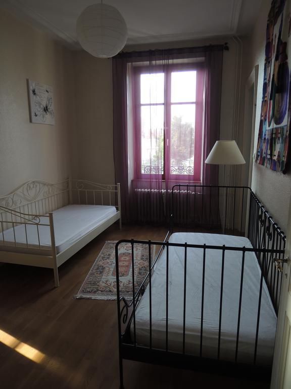 Le Grand Charpentier Apartment Mulhouse Luaran gambar